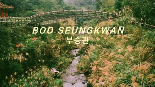 Seventeen Headers - Boo SeungkwanOther Members:Seungcheol / Jeonghan / Joshua / Jun / Hoshi / Wonwoo