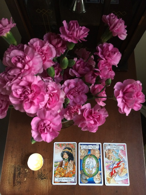 summerthyme:Today’s reading, AKA “you could totally get a good grade if you quit di