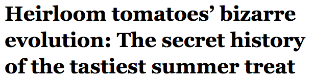 salon:  For old fans and new converts alike, heirloom tomatoes can be a revelation,