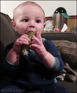 4gifs:  Baby tries a pickle