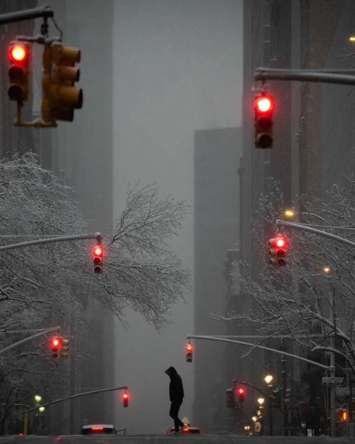 cafeinevitable:  New York Fogph. Phil Penman