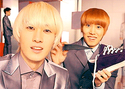 alovelikeoxygen:  rude as hell sungmin 