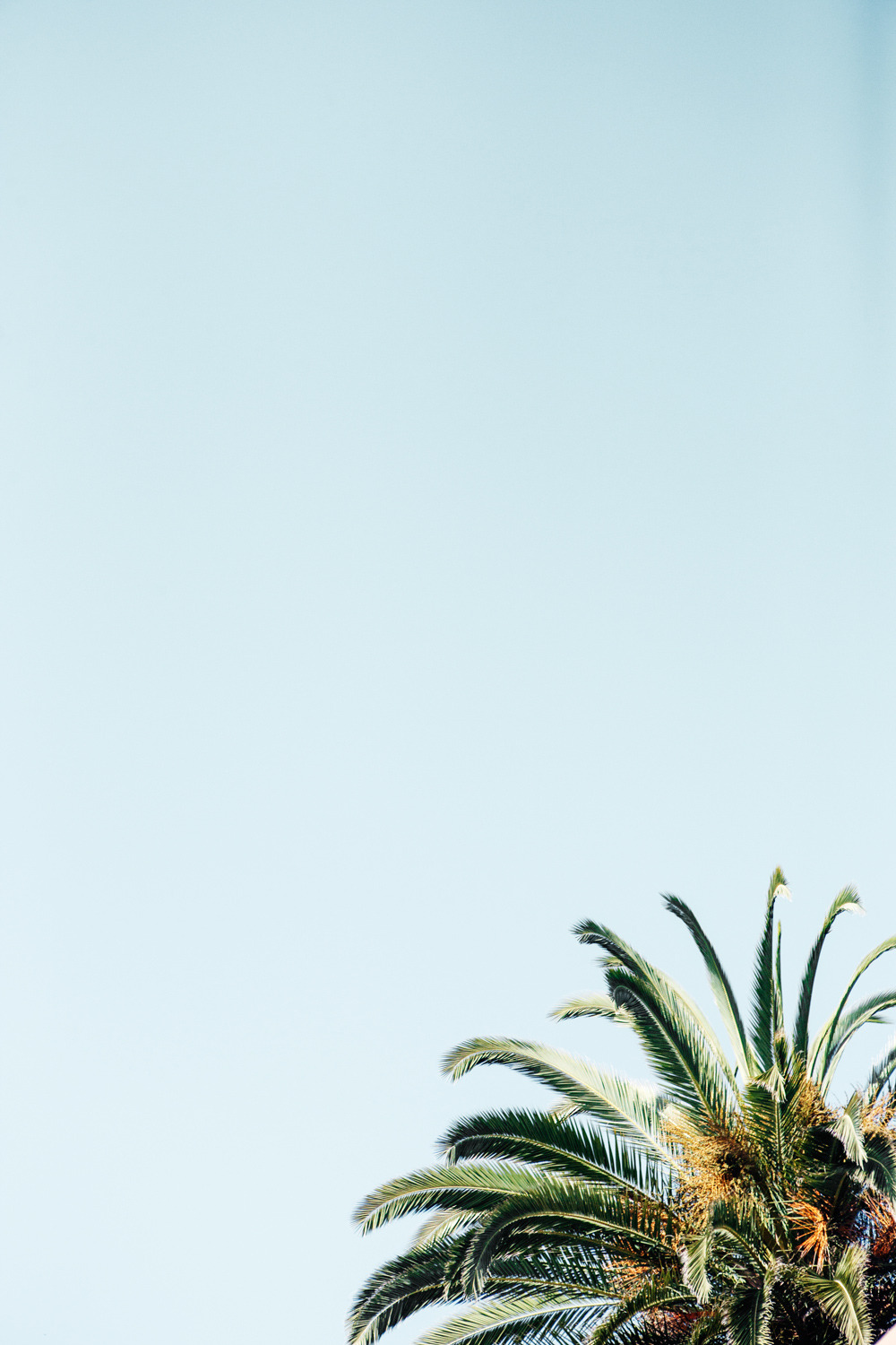 readcereal:  Santa Barbara  From Cereal Volume 3 Photo by Anais and Dax 