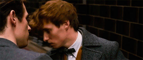 wallpapers Fantastic Beasts Newt Scamander Gif ortoroxy tumblr blog with posts