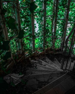 wonderlust444: