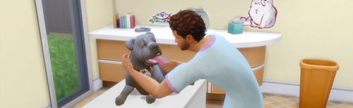 this power couple opened up a vet in brindleton bay! 