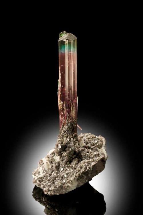 Bicoloured tourmalineThe grab bag tourmaline family (as mineralogists sometimes name tourmaline) gro