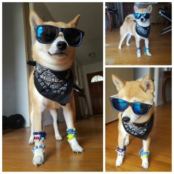 awwww-cute:  HARD summer. Such plur. Much rave (Source: http://ift.tt/1UuaXpJ)