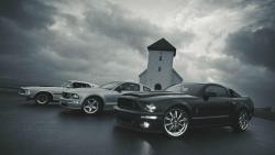 Ford Mustangs