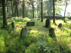 geopsych:  Doll Tor stone circle. Photo by