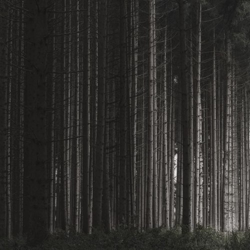 alteriusnocte:by Jürgen Heckel