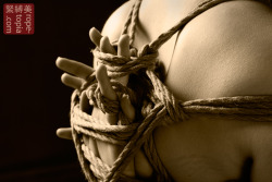 sergeisilence:  Yubi shibari by WykD-Dave