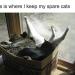 memewhore: