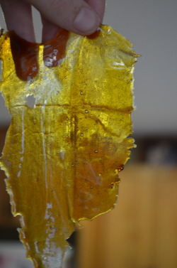 incredible-kush:  personal slab of some green fire nug run