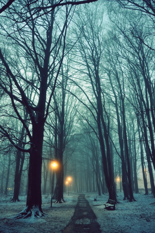 lvndcity:Alenja von Winterfeld
