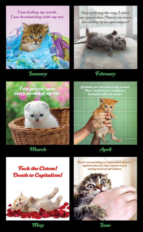 ANNOUNCING THE 2019 SOCIAL JUSTICE KITTENS CALENDARIt’s 2019. All around us, ancient evils lurk in t