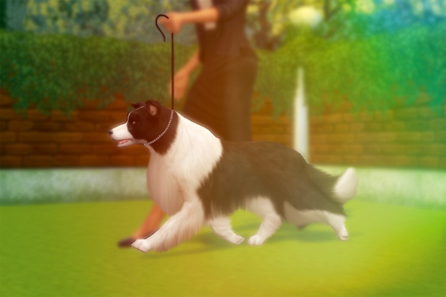 tumblr_p8l9mnvRbq1x9bjppo1_1280.jpg