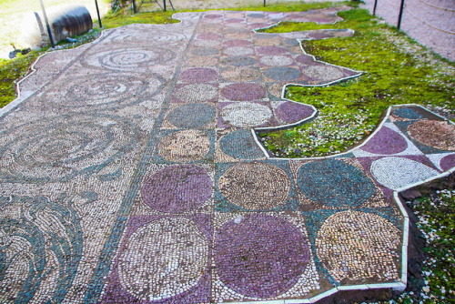 romebyzantium:Mosaic floor of Caracalla baths, Rome, Italy. View More: colosseumrometickets.