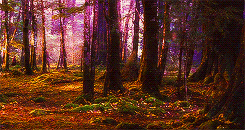 mastergamgee:The Fellowship of the Ring (2001) - Scenery