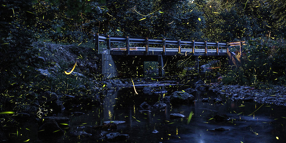 slowartday:  Long-exposure photography by Vincent Brady 