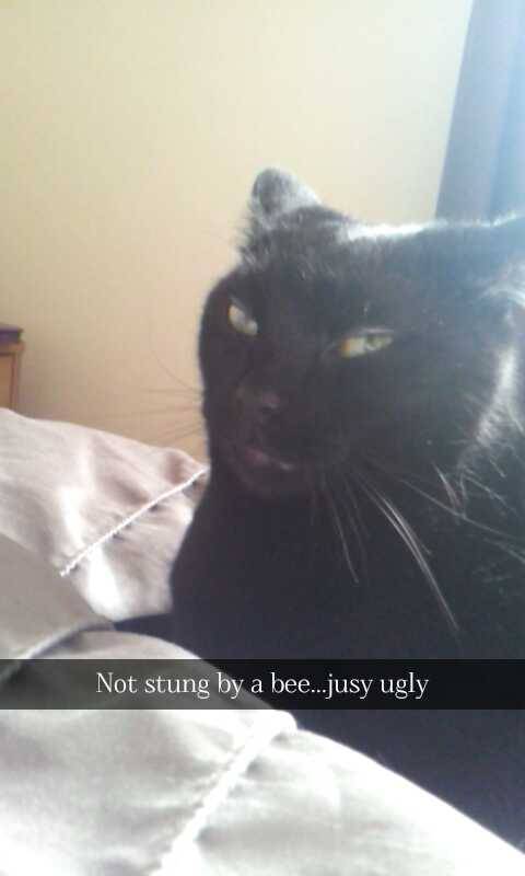 sombre-songbird:Me and my cat ,Oscar, who hates me (but loves me at night when theres