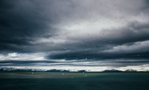 wakingupinnature:  Love Camping? Follow wakingupinnature!