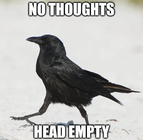 generalgrievousdatingsim:  generalgrievousdatingsim: generalgrievousdatingsim: while i don’t mean to disregard anyone’s legitimate fears or phobias i genuinely don’t understand how anyone could think that crows are somehow “unlucky” or “omens