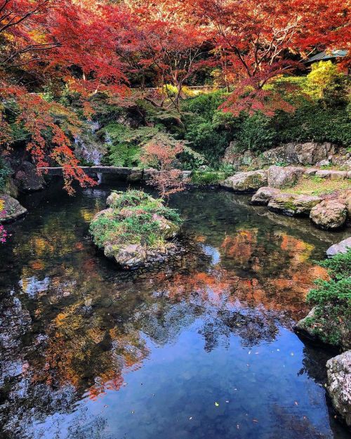 浜松城公園 日本庭園 [ 静岡県浜松市 ] Hamamatsu Castle Japanese Garden, Hamamatsu, Shizuoka の写真・記事を更新しました。 ーー #徳川家康 