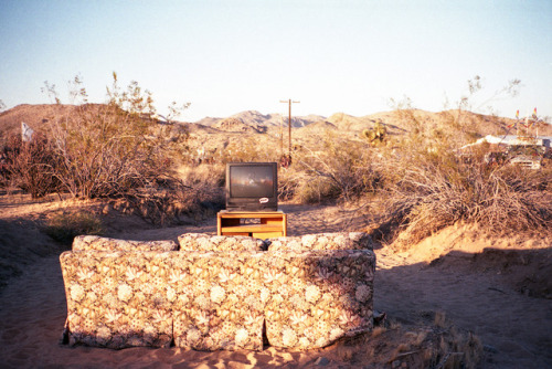 Desert Daze 2016 ©lucasmiranda