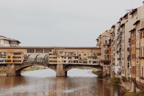 venusverticordias:Ponte Vecchio, Firenze, Italia | nicsdailypics