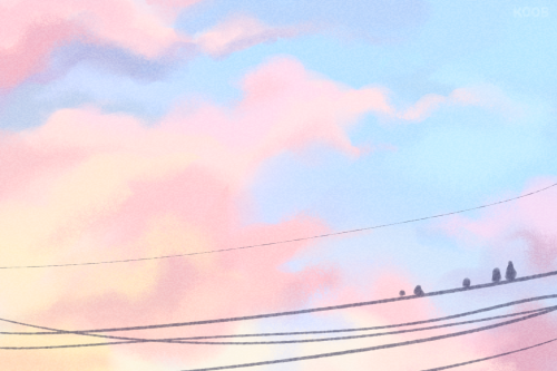 sky studies