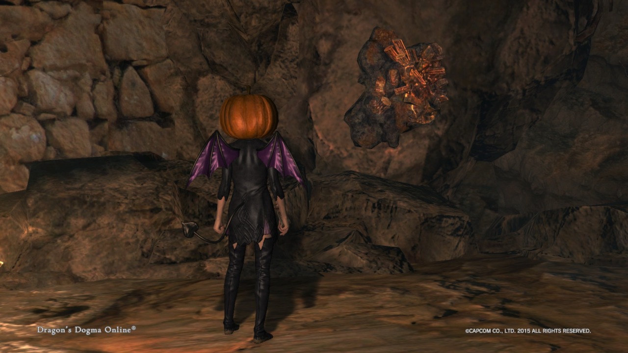 Dragon S Dogma Online Translations