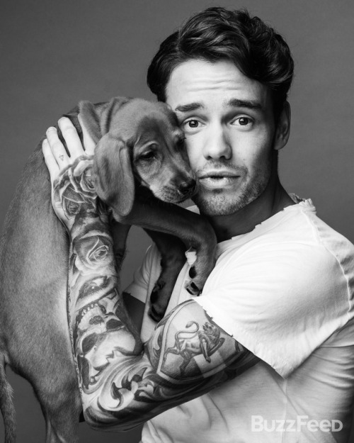 Um hi.We photographed Liam Payne with a bunch of puppies.And it is cute as hell. : Taylor Miller/Buz