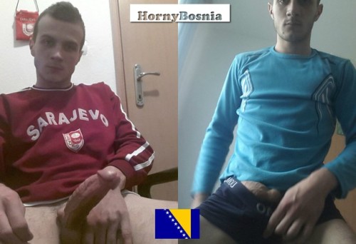 hornybosnia:Босанац  _  Bosnian muslim