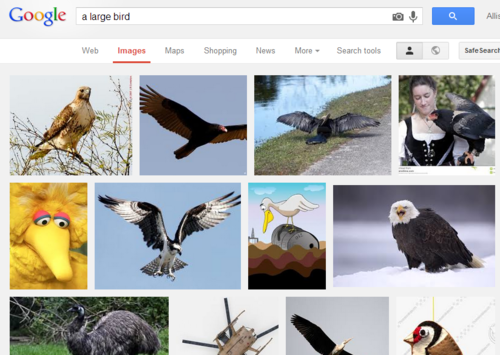 canni8al:  so i was trying to find a picture of a bird that is big so i searched “big bird” but forgot he was a character  so i went back and typed in “a large bird” and THIS MOTHERFUCKER IS STILL HERE LOOKIN SAD LIKE I DIDN’T WANT HIM  