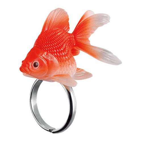 to-be-frank-i-dont-care: sofubis: Ringcolle!　ゆび和　～金魚と亀～ (bandai) @blueberryrock