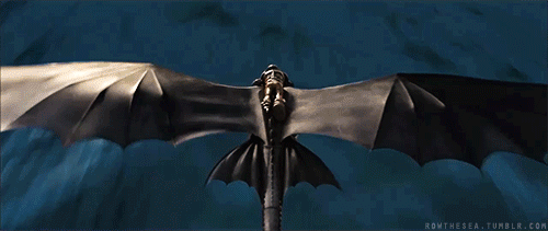 rowthesea:  Hiccup &amp;&amp; Toothless 