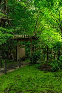 traditional-japan:Via Pinterest