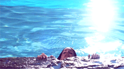 lanadelrey-:  Shades of Cool 
