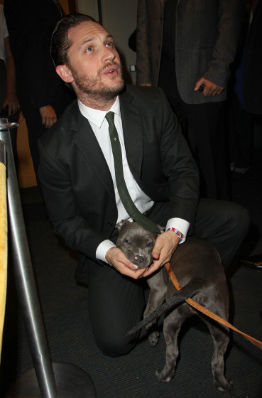 Porn wtfzurtopic:  Tom Hardy loves every dog.  photos