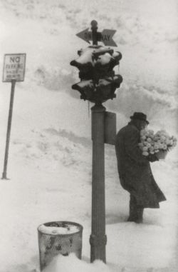 flashofgod:William Eugene Smith, First Day of Spring, New York City, circa 1957.