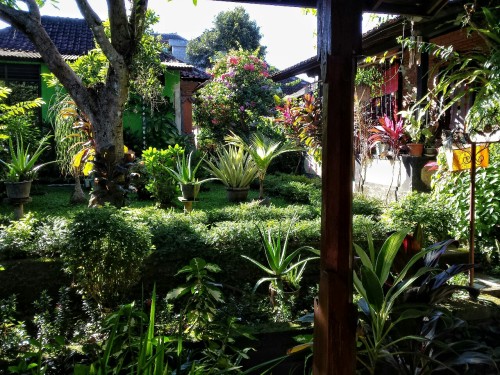 quentrovity:  My front- and backgarden here in Ubud at Biang’s homestay.