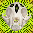 ghostfungus avatar