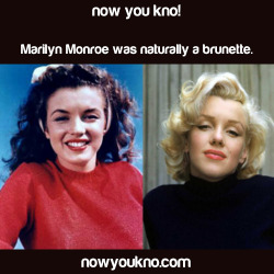 nowyoukno:  Now You Know more about Marilyn Monroe. 