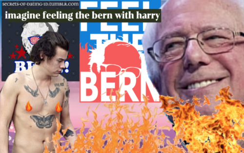 Requested by anon: imagine feeling the bern with harry