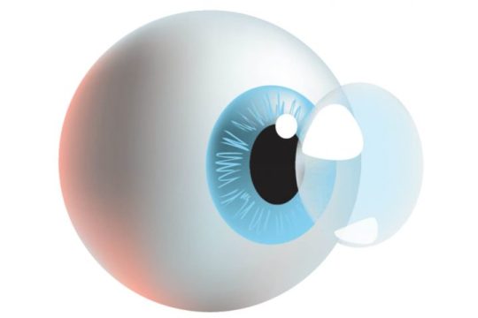 Θεραπευτικοί Φακοί Επαφής: Ένα ‘‘εργαλείο’’ αποκατάστασης της υγείας των
ματιών