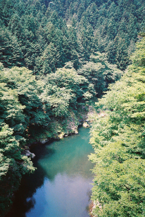  nature & vintage blog 