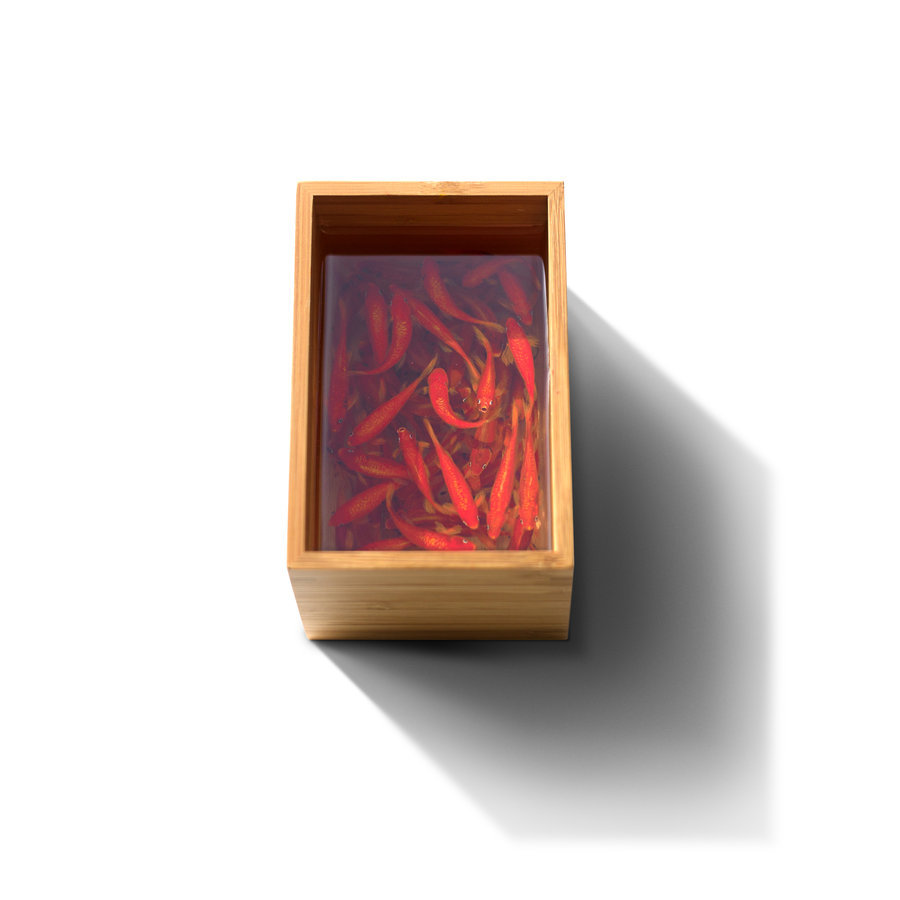 paintvrlife:  by kenglye  please do not remove credit.