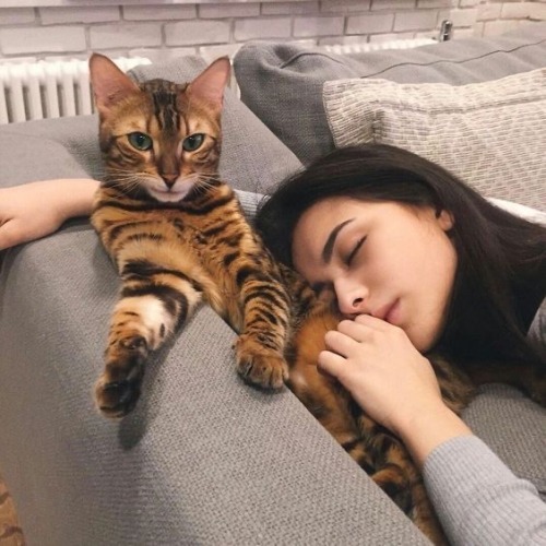 The Cat Sitter (part 13) Max Verstappen