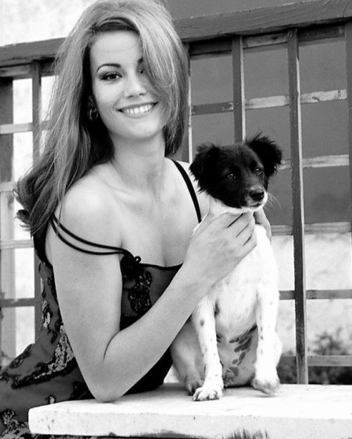 XXX modbeatnik:Claudine Auger, 1960s https://painted-face.com/ photo